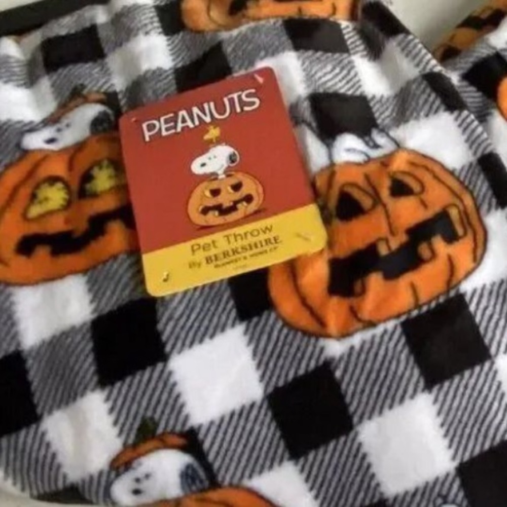 Peanuts Snoopy gingham Throw Blanket 50”x70” - Picture 2 of 5